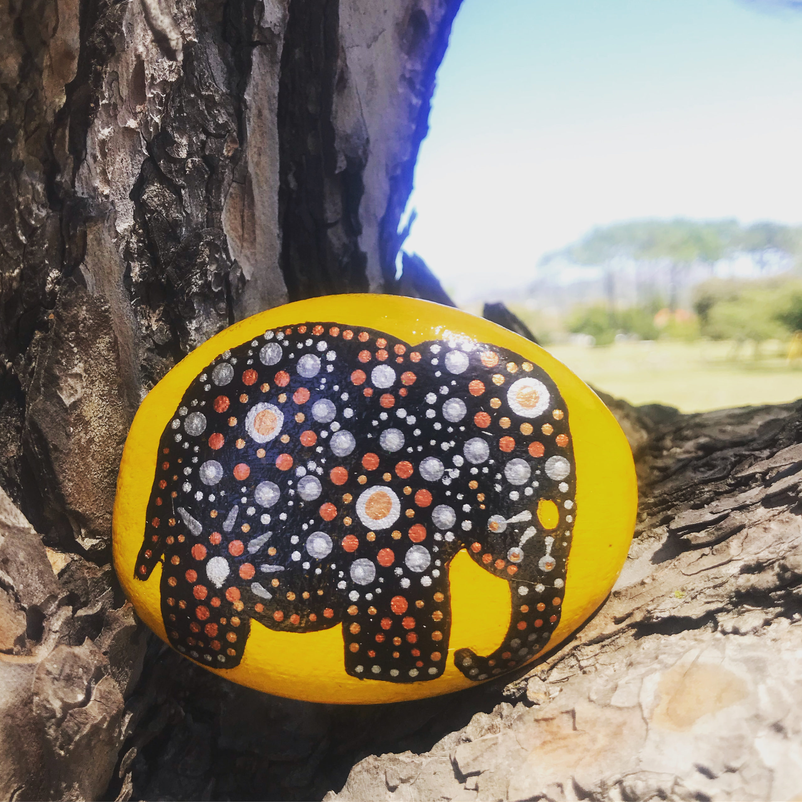 Rock On Rocks Rock On Rocks - your one stop rock painting supply shop!
