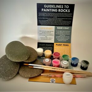 Superior Starter Rock Painting Kit